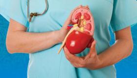 أطعمة لذية ينصح بتناولها لحمية الكليتين من أمراض مميتة