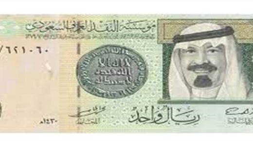 بنهاية التعاملات الريال السعودي يرتفع أمام الجنيه المصري
