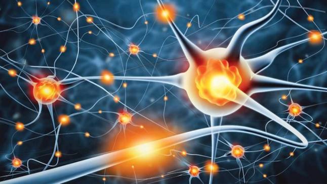 كروموسومات الخلايا السرطانية الذكرية هل يمكن التغلب عليها ؟